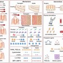 클리어(clear) 치과기공소 | 달서구 교정 치과 , 교정에는 나이가 문제가 될까요
