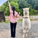 유인목장 이미지