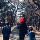 제31호 어린이공원 이미지