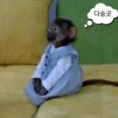 상봉커피 이미지