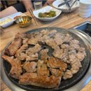 햇살애 티스토리