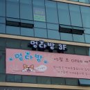 멍다방 이미지