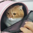 창현동물병원 이미지