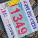 2024 대청호 벚꽃길 마라톤 대회 | 2024년 대청호 벚꽃길마라톤대회 참가 후기
