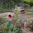 심호당한의원 이미지