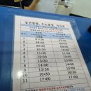 검멀레리조트 | 2025 제주 1일차 - 전기스쿠터로 우도 여행 추천 코스 (성산포-천진항, 서빈백사, 우도봉, 검멀레해변)