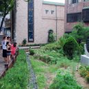 3.1운동비 이미지