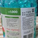 청목화원 | 식물(수생식물) 유리화병 만들기, 작은화분, 테이블 인테리어, 다이소, 나한송 청목, 가습식물, 습도조절.