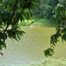 신두왕로 이미지