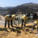 희망나무심기3 이미지