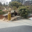 쉐이리코타키나 이미지