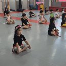 탑 태권도 전문도장 이미지