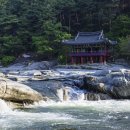 동도초등학교 이미지