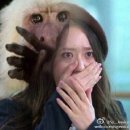 빌라지오 이미지