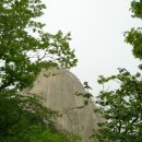 하늘정원장 이미지