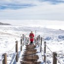 여행공장 이미지