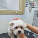 복운미용실 이미지