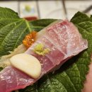 청춘횟집 이미지