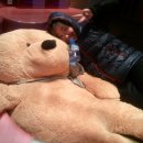 곰돌이노래방 이미지