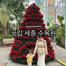 특수임무유공자 충용 | 국립 세종 수목원 특별 전시 24개월 아기와 가볼 만한 곳