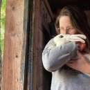 애완용 토끼 - 블랑 드 호톳 (Blanc de Hotot Rabbit) 이미지