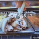 빨라쪼대전 이미지