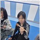 하랑태권도 | 논공유아체능 하랑태권도에서의 특별한 여정 후기