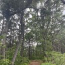 월영동149 이미지