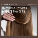 컬러앤하우스 네이버블로그
