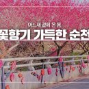 꽃향기가득한 이미지