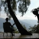 자연속의 집 이미지