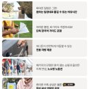 동부 비상 제005호 | 발리 패키지 여행 경비 5박7일 신혼여행 코스