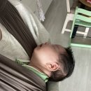 아띠포페 아기띠 사용후기 (feat.코니아기띠)