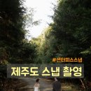 세븐일레븐제주아란길점 | 제주도 스냅촬영 센터피스스냅 촬영 후 느낀 현실적인 후기