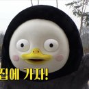 서울대학교 행정대학원 이미지