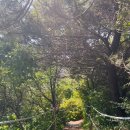 다랑쉬민박 이미지