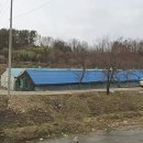 논산목장 Daum카페