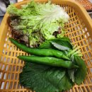 신정초등학교 이미지