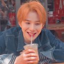 비너발트 이미지