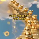 복돼지네 이미지