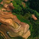 청결농장 이미지