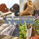 코알라공작소