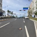 대해로 4 이미지