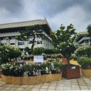 인천시 광복 81주년 기념 무궁화 전시회 개최 이미지