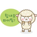 Y J 헤어