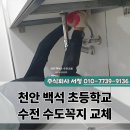 천안백석초등학교 이미지