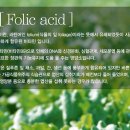 더지엠 이미지
