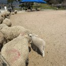 산업로1-4 이미지