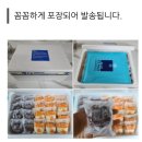(주)비트로젠 | 추석맞이 오메기떡 주문받아요