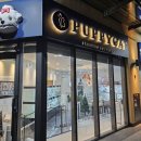 퍼피캣 강아지분양 인천루원시티점 이미지